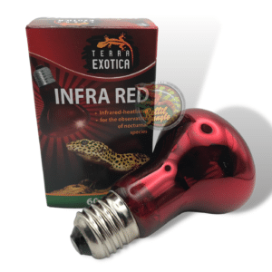 Lampada Spot Riscaldante Luce Rossa 60 Watt TerraExotica