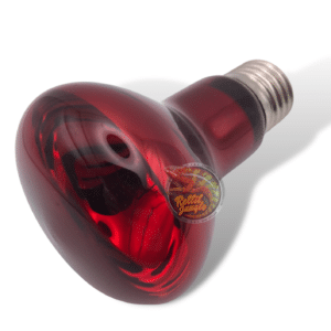 Lampada Spot Riscaldante Luce Rossa 60 Watt TerraExotica