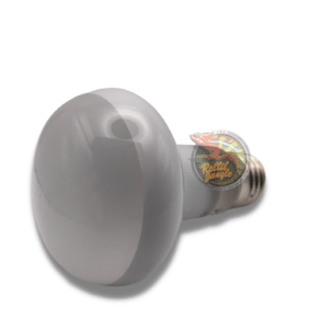 Lampada Spot Luce Bianca Riscaldante 75 Watt TerraExotica