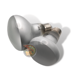 Lampada Spot Luce Bianca Riscaldante 40 Watt TerraExotica