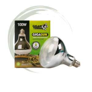 Lampada Ai Vapori Di Mercurio UVB 100Watt Compatta Giganterra